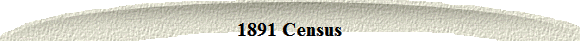 1891 Census